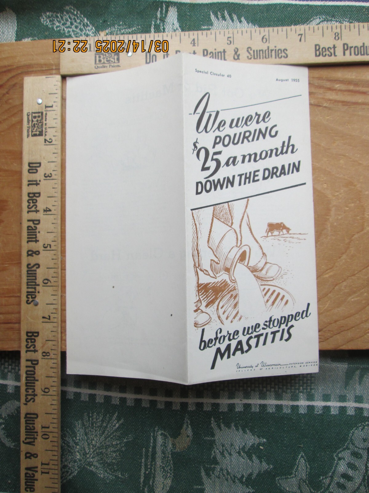 before we stop mastitis in milk cows university of Wis brochure 1955