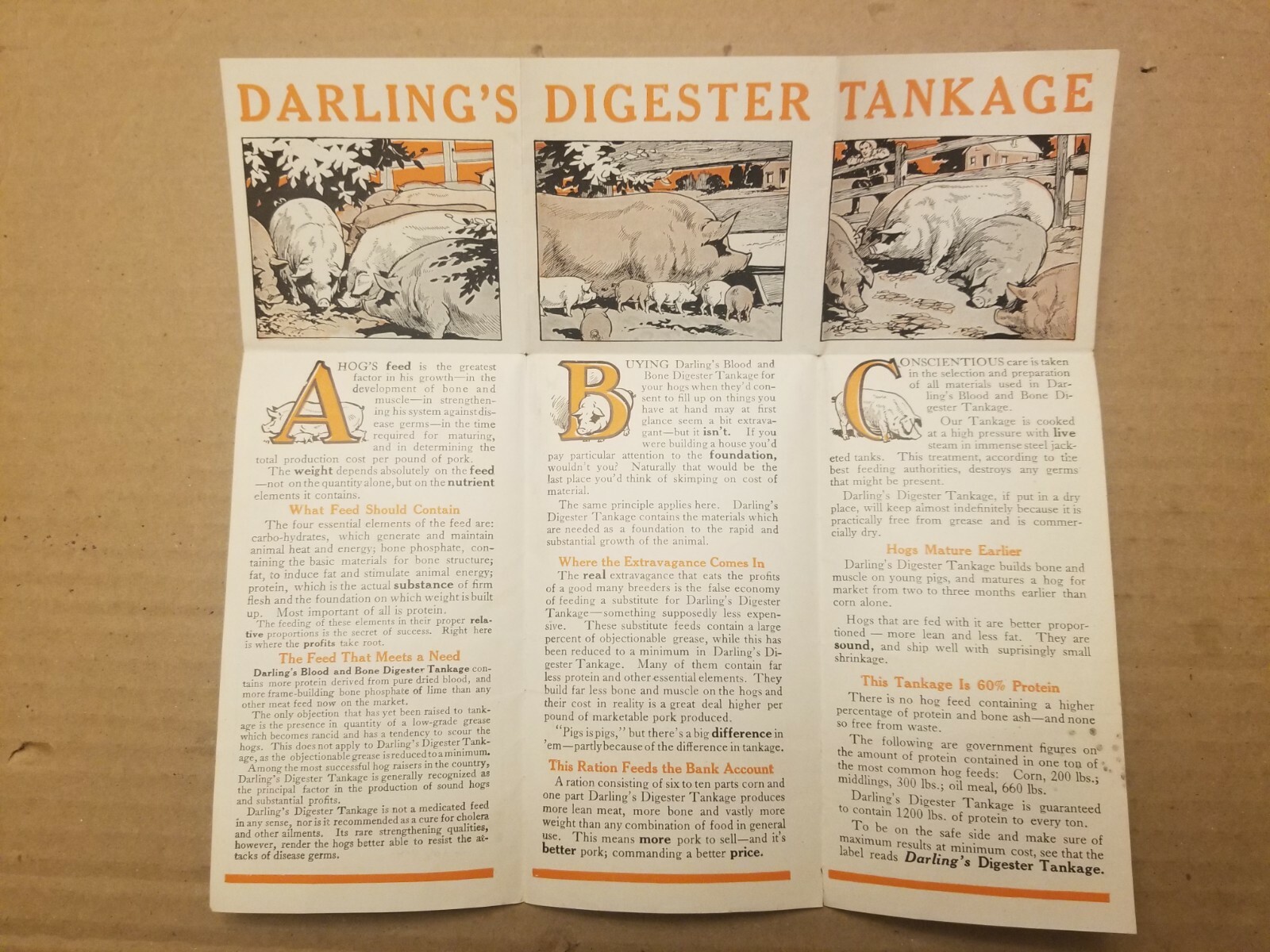 VINTAGE AGRICULTURE BROCHURE. DARLING&rsquo;S DIGESTER TANKAGE.