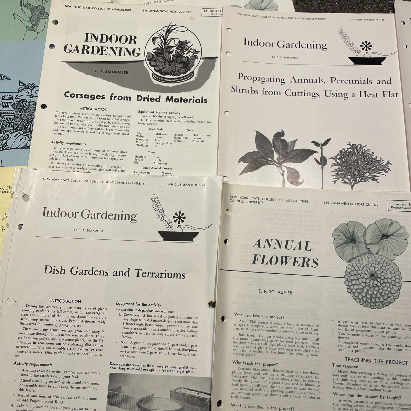 Large Lot Vintage 4H And Cornell Cooperative Extension Gardening Brochures.