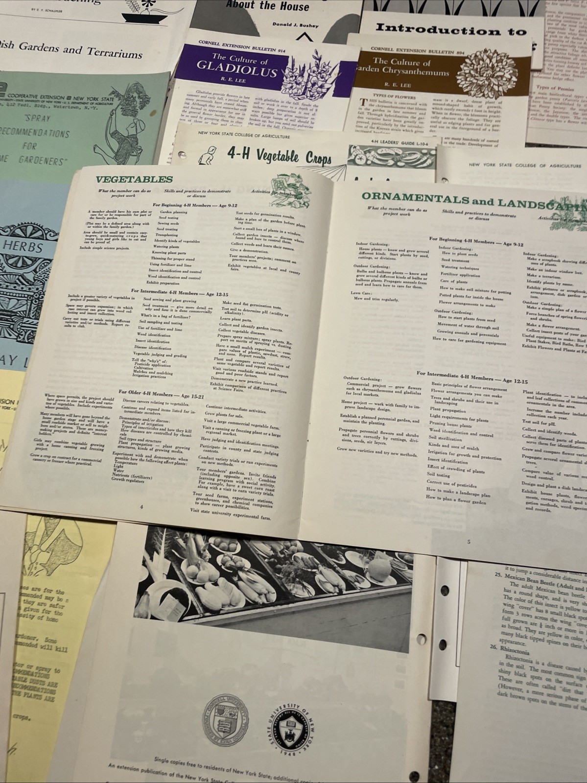 Large Lot Vintage 4H And Cornell Cooperative Extension Gardening Brochures.