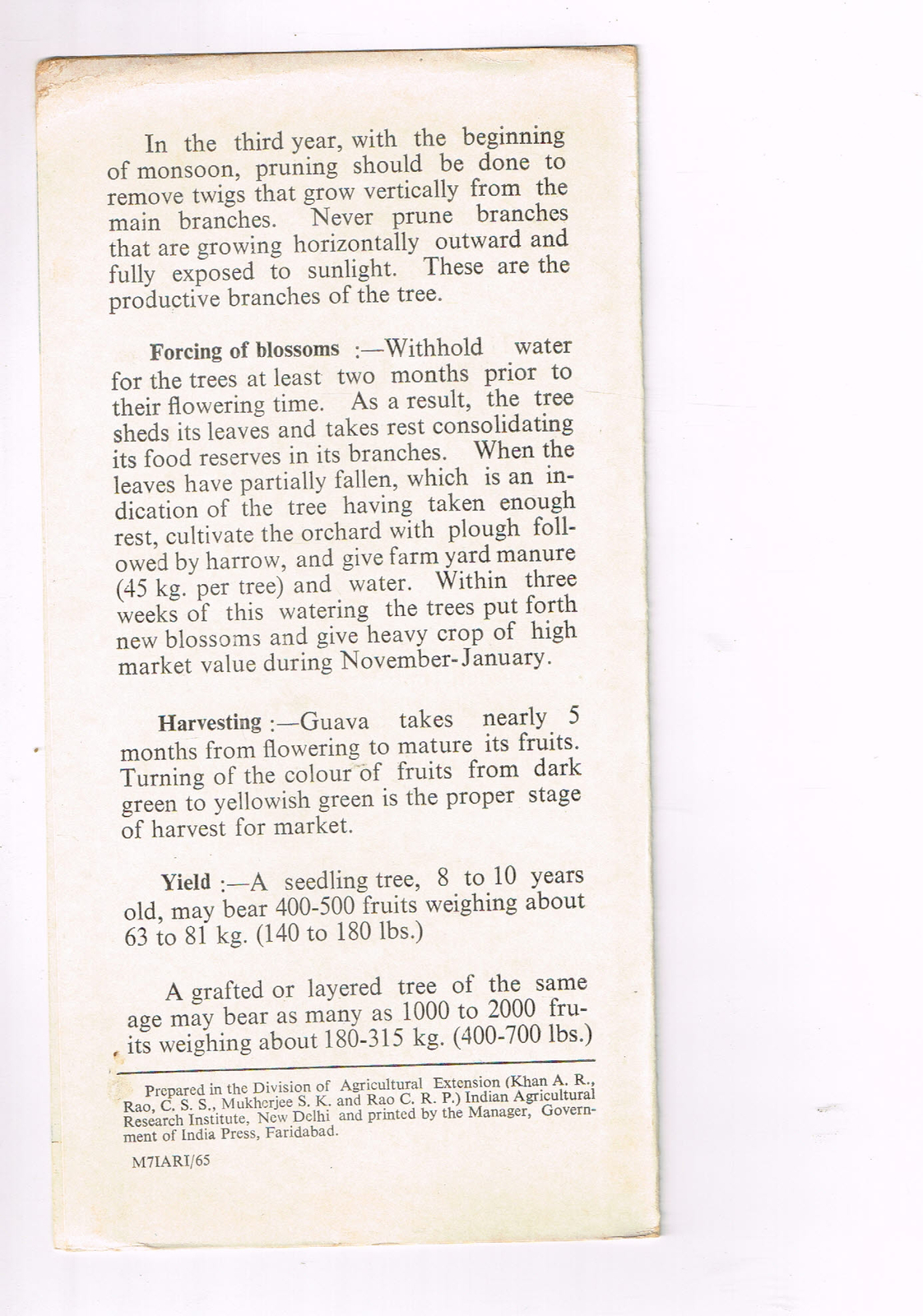 Vintage 1960s Farm Brochure India New Delhi GUAVA Extension Project