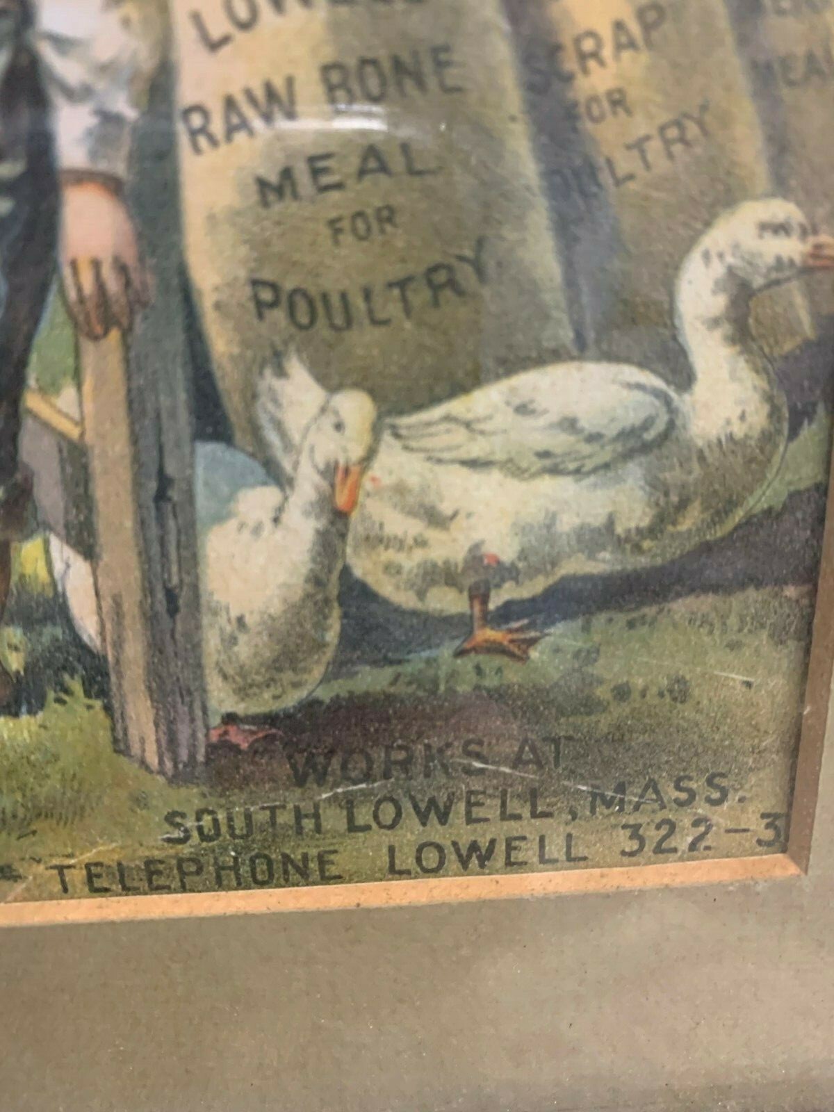 Rare Vintage Lowell Fertilizer Co. Litho Framed Sign FARM GAS OIL SODA COLA 17&Prime;