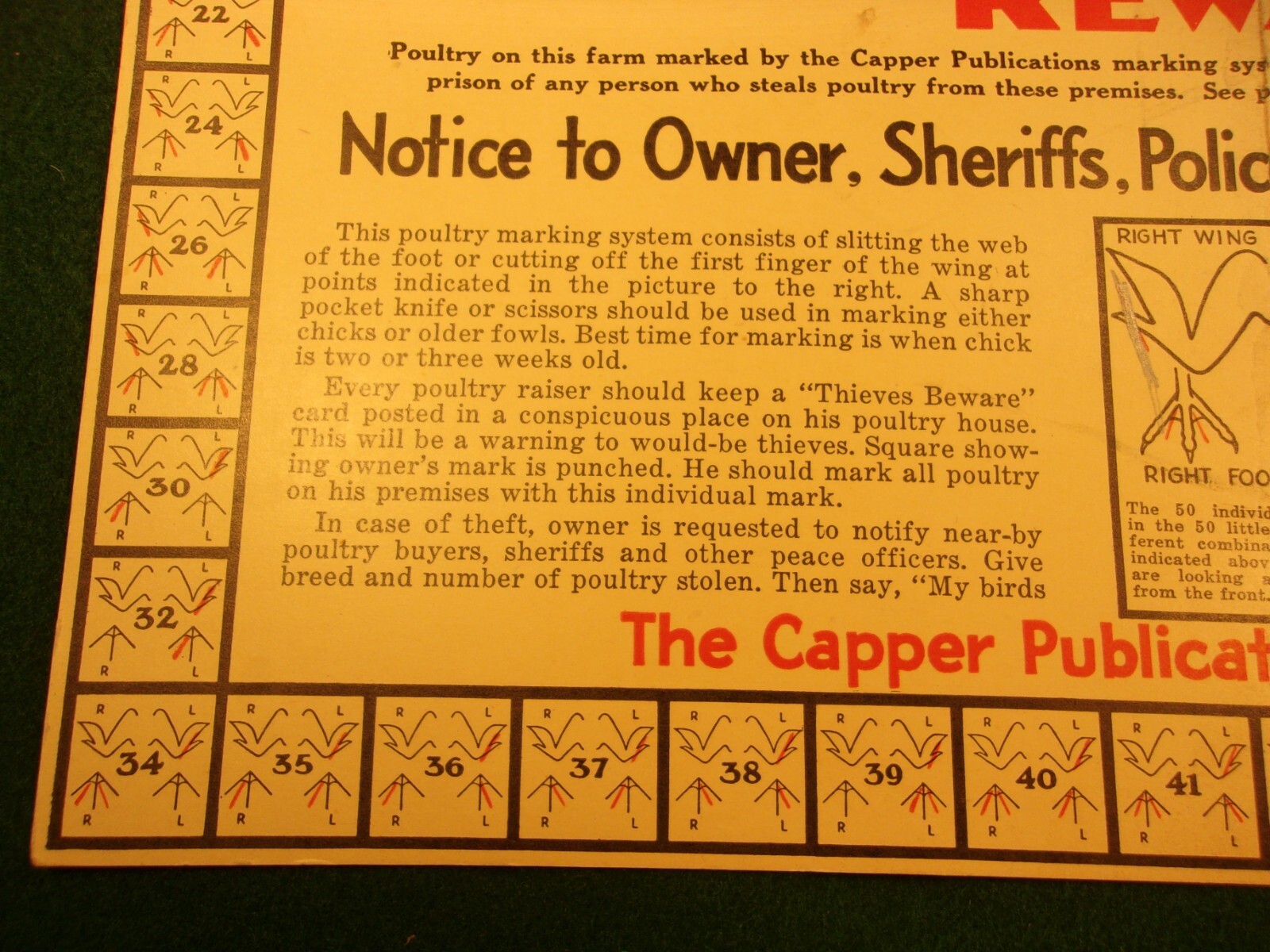 RARE OLD VTG ANTIQUE 1933 PLACARD: THIEVES BEWARE, REWARD (FOR POULTRY THEFT)