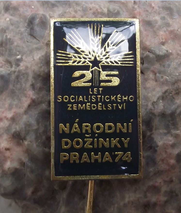 1974 Harvest Festival Czechoslovakia Communist Farming Celebration Pin Badge