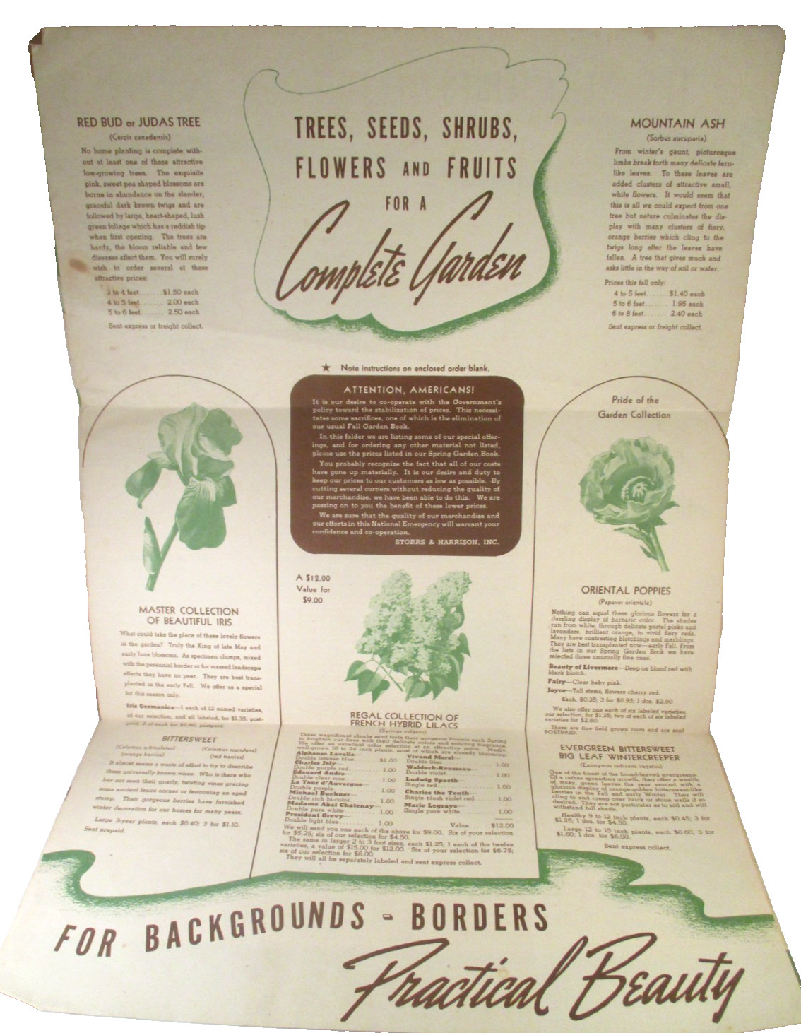 Vintage STORRS and HARRISON PAINESVILLE OH NURSERY MAILER BROCHURE