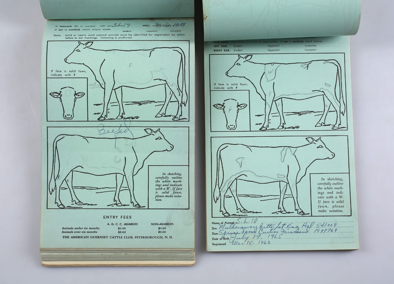 Lot of 2 American Guernsey Cattle Club Herd Registration Entry Application Books