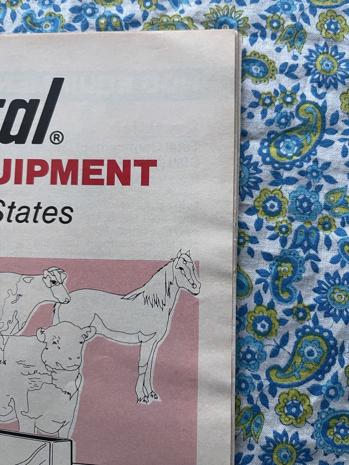 Vintage 1981 Southern States Universal Livestock Equipment Print Ad