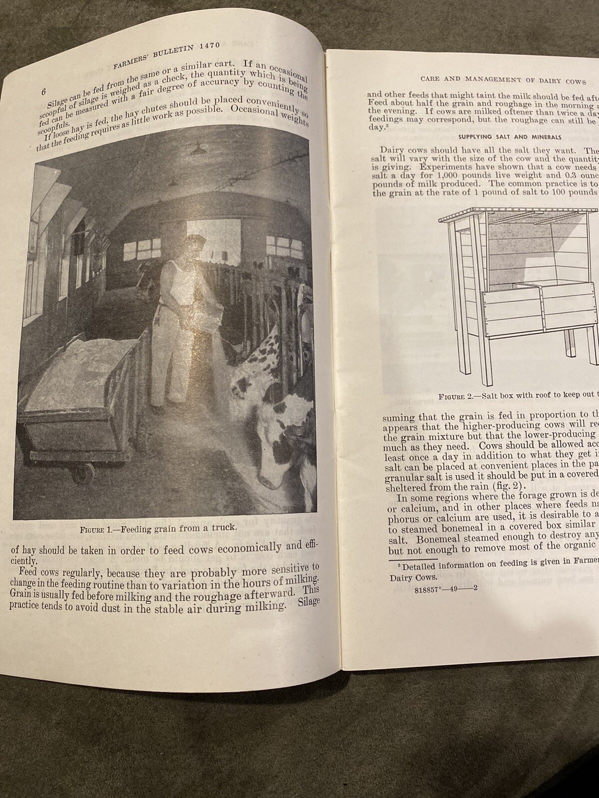 US Department Of Agriculture Care And Maintenance Of Dairy Cows 1949