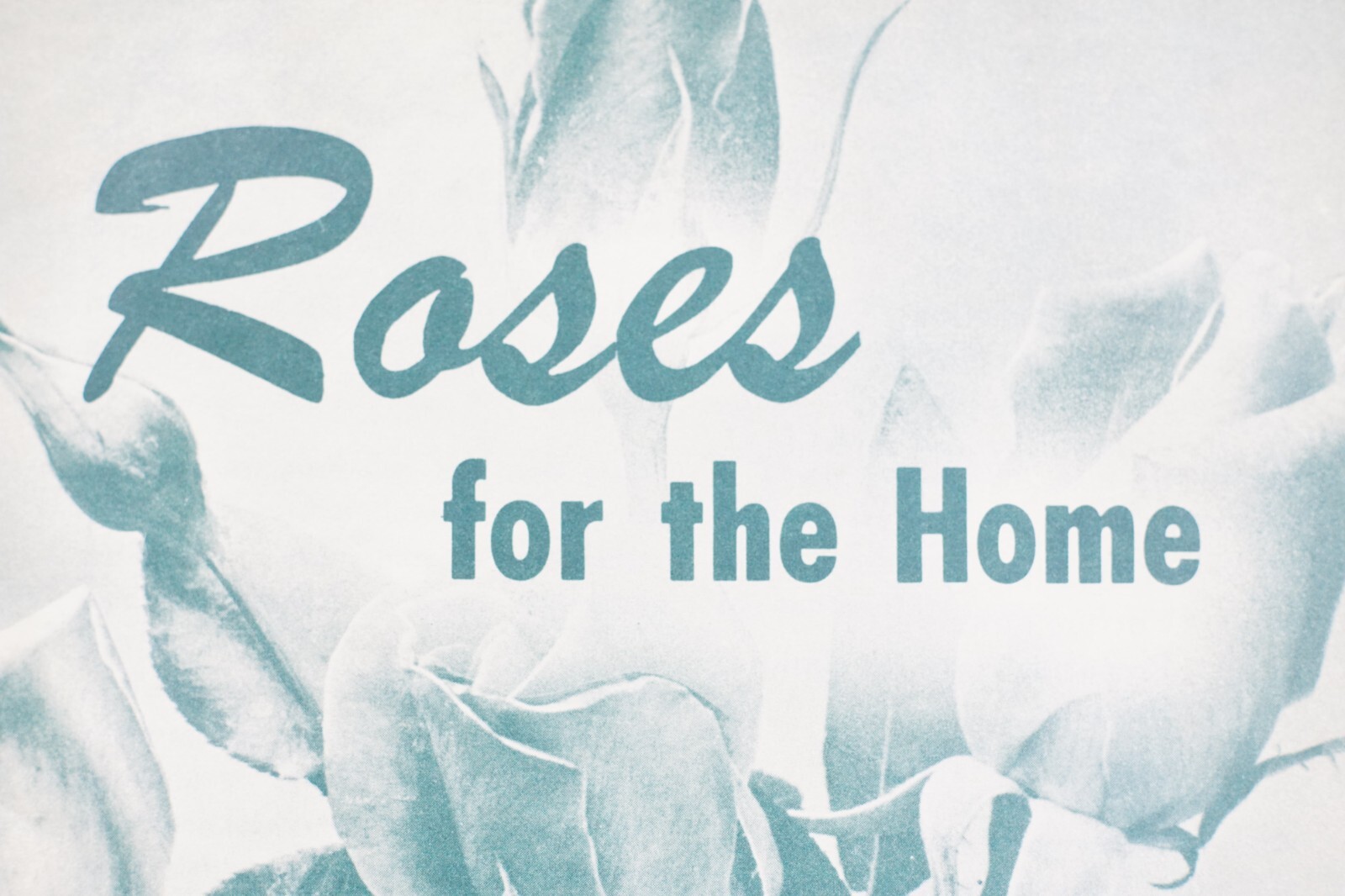 1972 Roses for the Home USDA Home and Garden Original Vintage Bulletin No. 25
