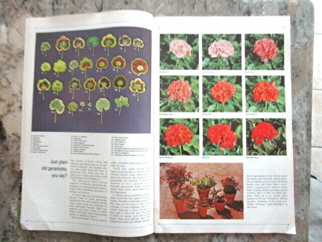 Ortho Garden Book 1970- E8E-20