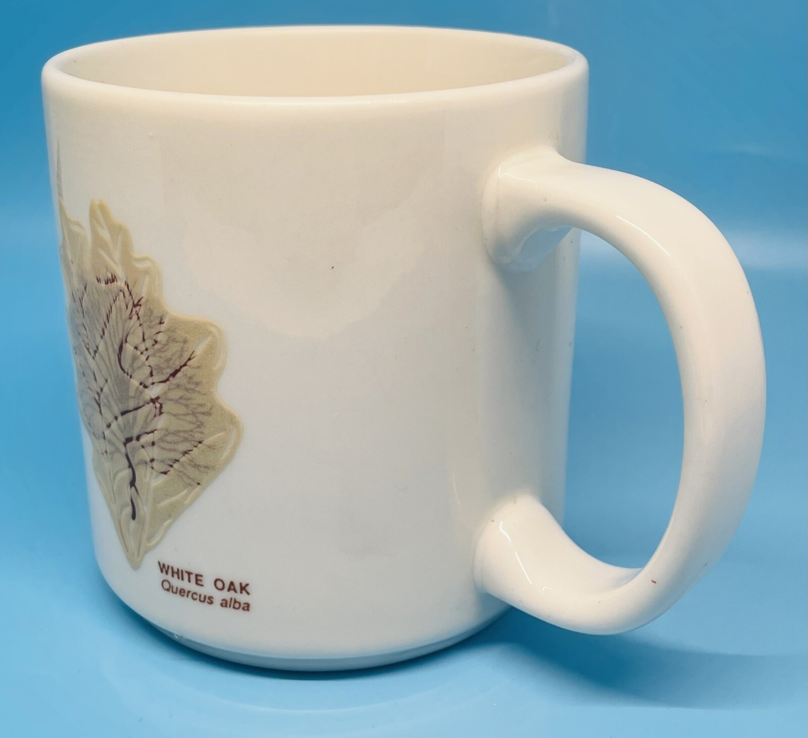 Audubon Naturalist Society Mug Raised Leaves Leaf Identification