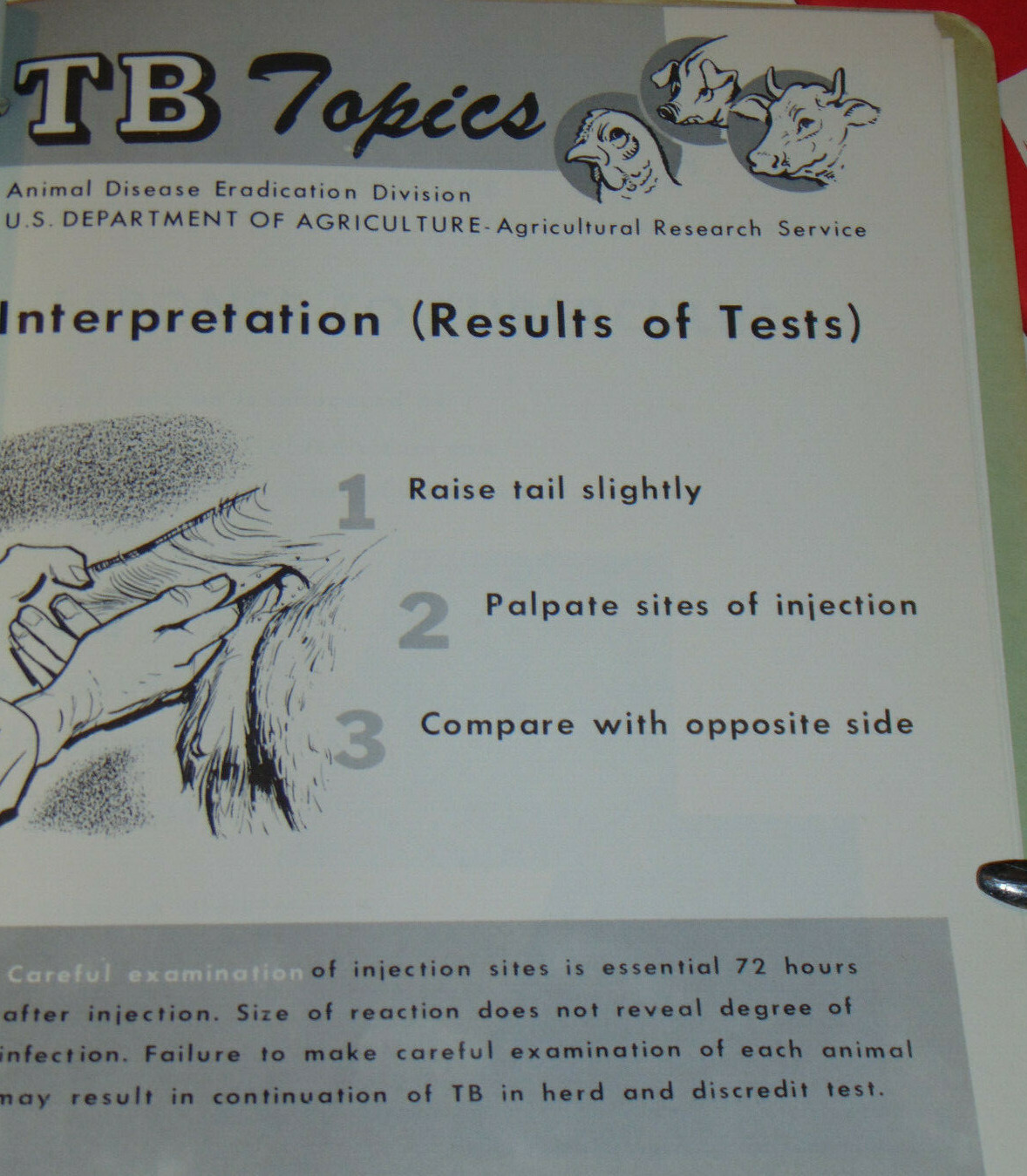 VINTAGE 1950s-60s USDA ANIMAL TUBERCULOSIS ERADICATION TB MANUAL! SMALL POSTERS!