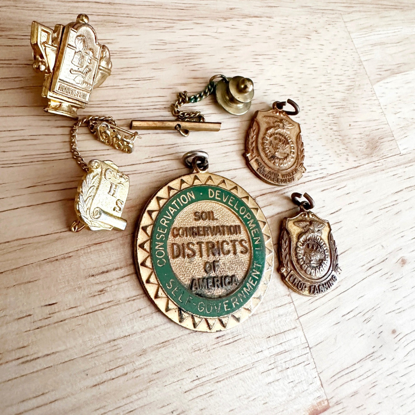 Vintage FFA Pin Lot Soil Conservation Crop Farming Agriculture 1965 CHS Pendant