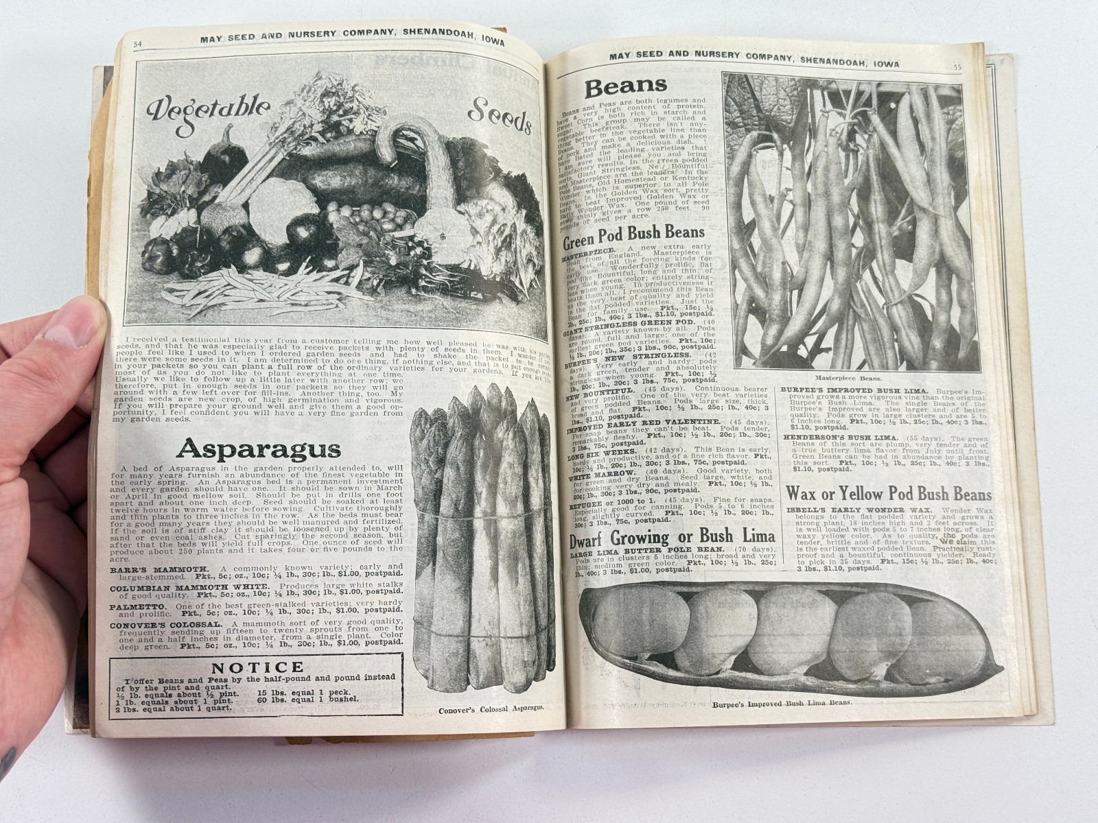 1924 May Seed Advertising Catalog Shenandoah Iowa IA