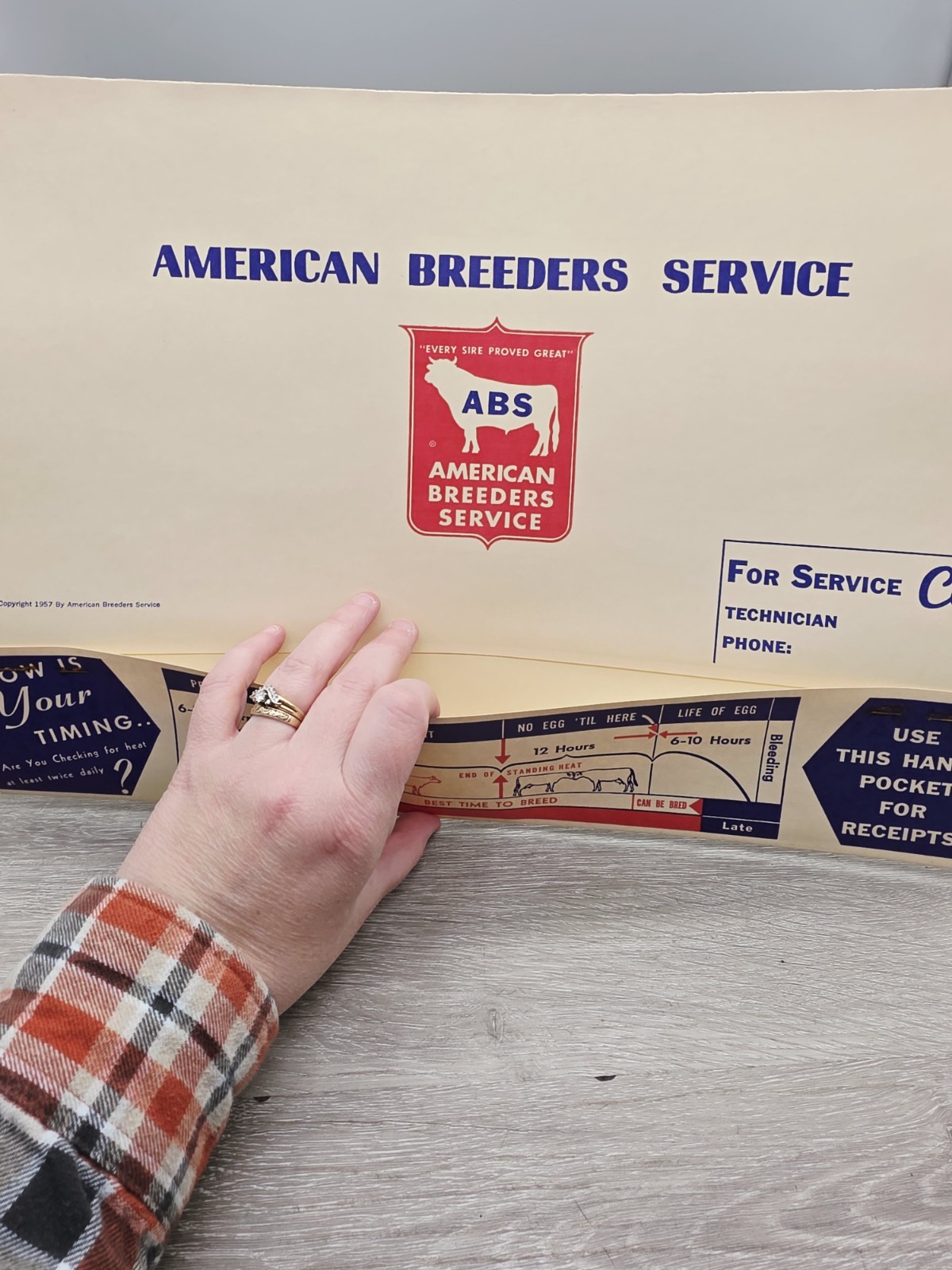Rare 1957 American Breeders Service Folder Cow Breeding Schedule NOS Advert