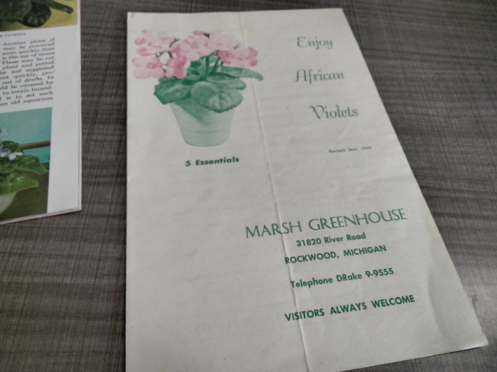 Vtg. 1939 Empire State Nursery Co. Fruits & Flowers Booklet + 2 African Violets