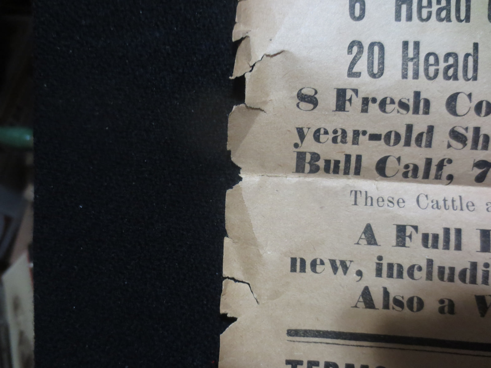 HUTSONVILLE ILLINOIS FARM AUCTION ADVERTISING BROADSIDE 1906 W.A. DAVIS OWNER