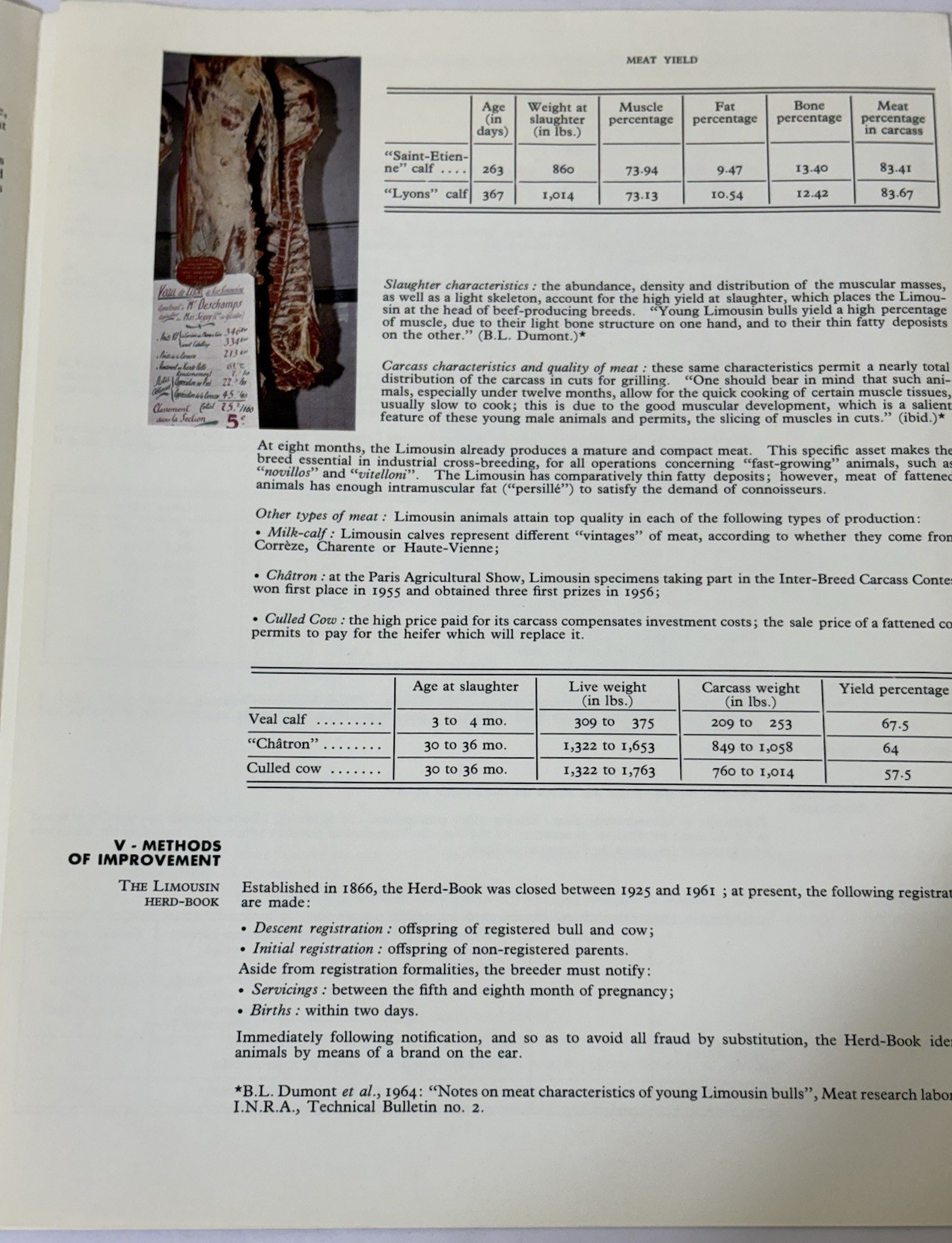 Vintage 1960s Cattle Cows Booklet Brochure – THE LIMOUSIN BREED – France