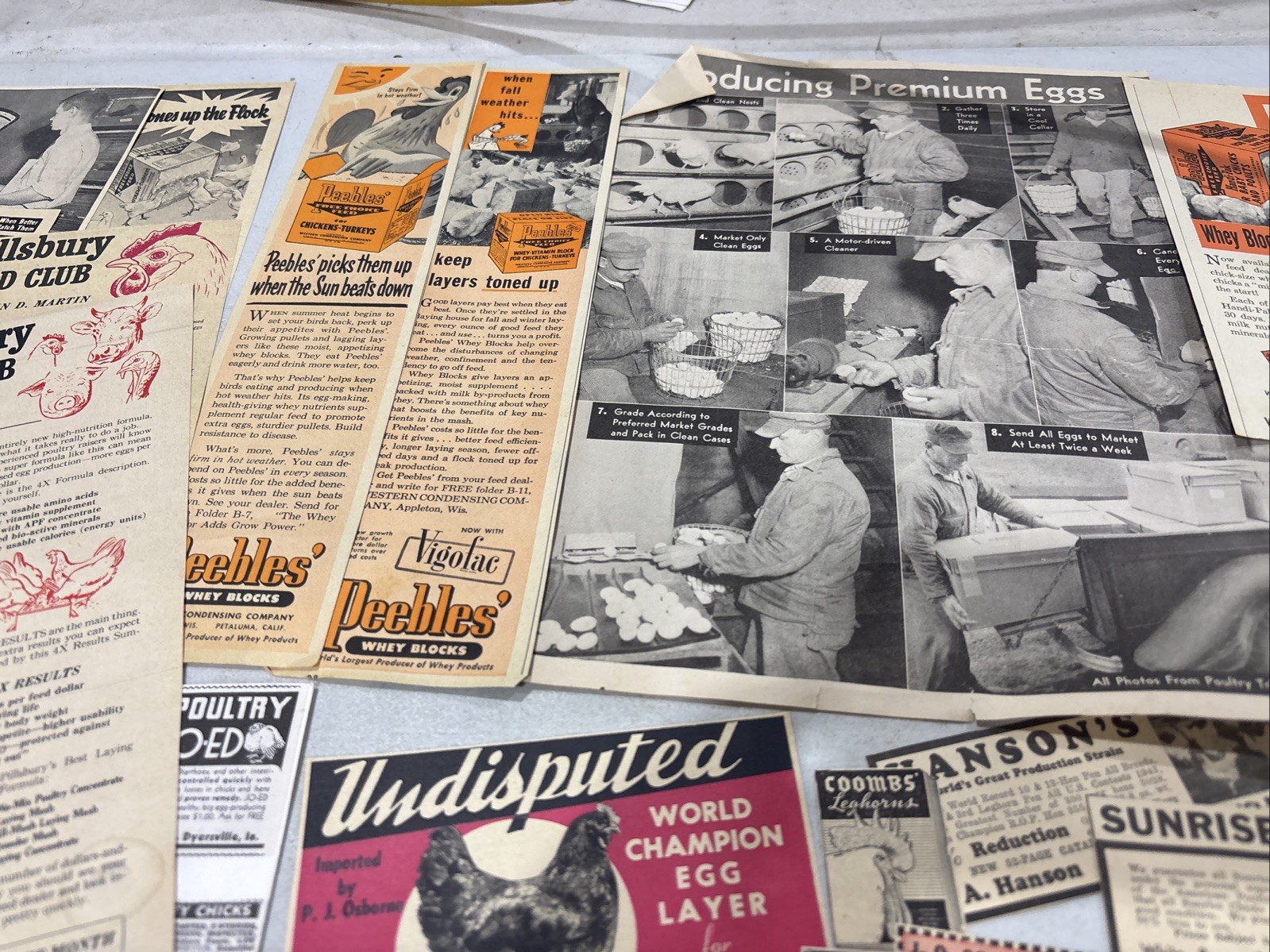 Lot Of 60 Chicken Poultry Egg Related Magazine Print ads 1930-50s