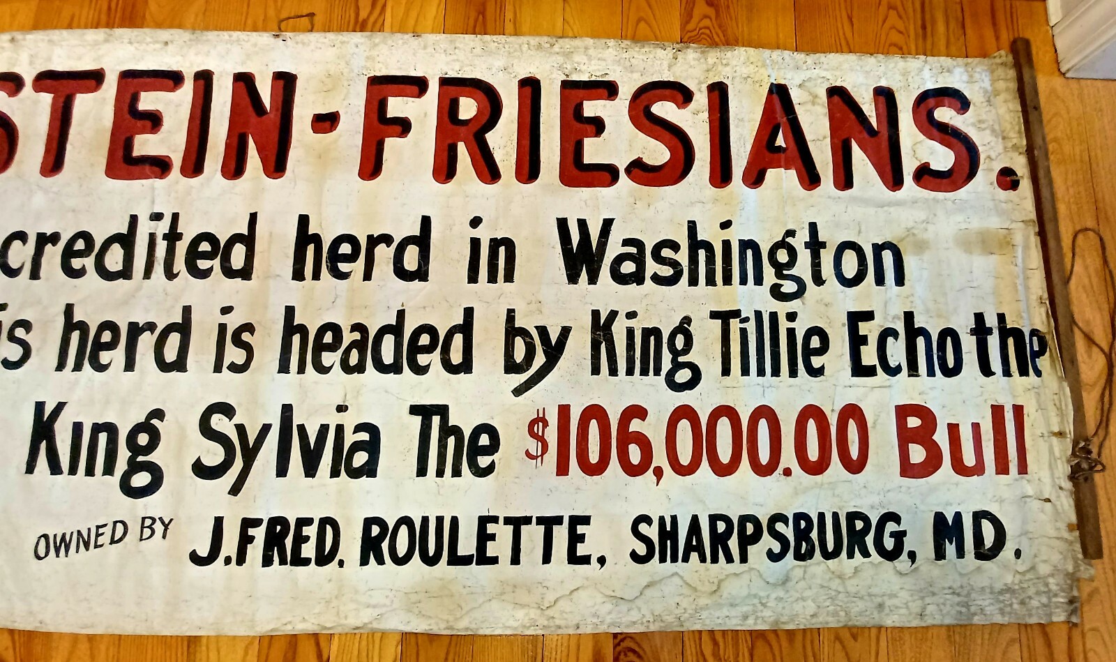 1920&rsquo;s HISTORIC HOLSTEIN FRESIAN ADVERTISING FARM BANNER SIGN KING SYLVIA BULL