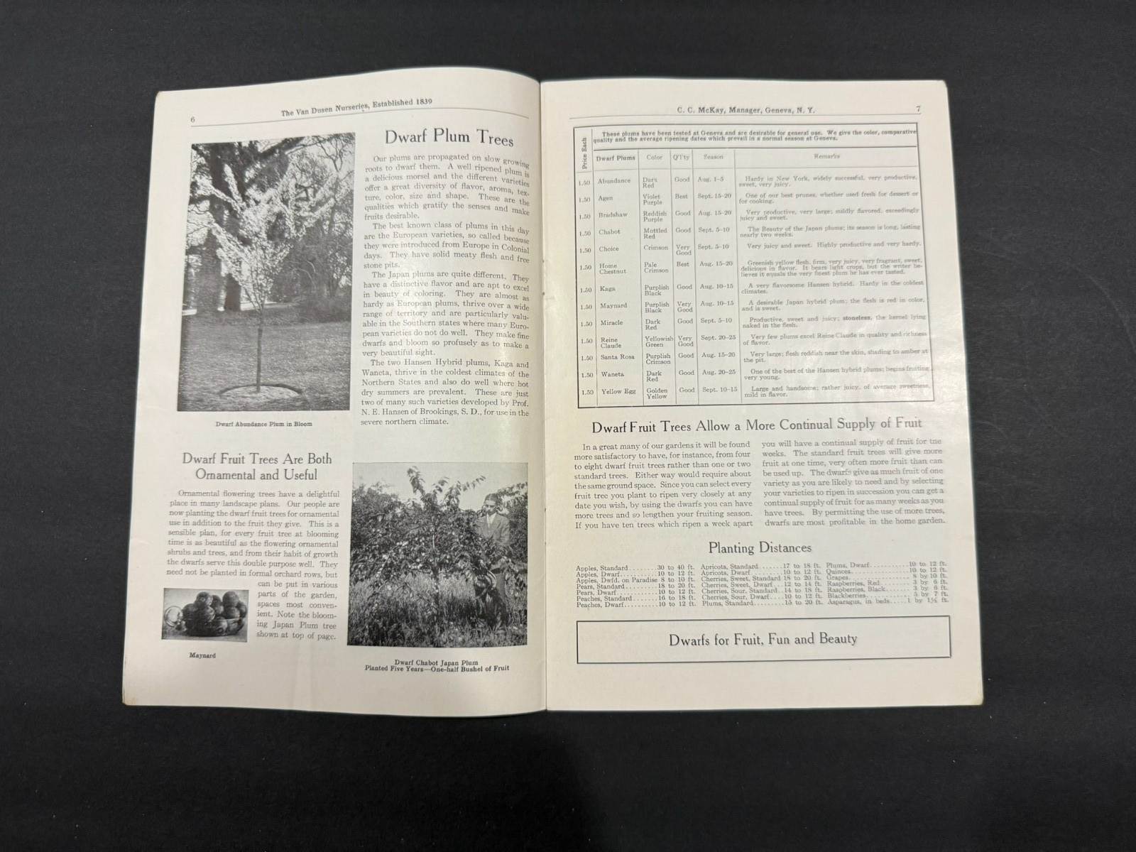 1930&rsquo;s Evergreen, Van Dusen, Rosedale Nursery Brochures…..4 Items