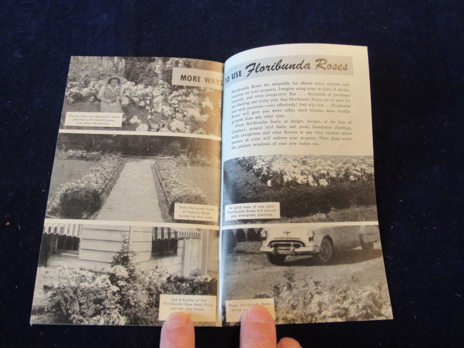 Vintage 1940-1950&rsquo;s Jackson & Perkins Rose Gardening Brochure B439