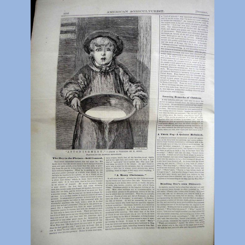 1863 DEC antique AMERICAN AGRICULTURIST farm garden household orange judd