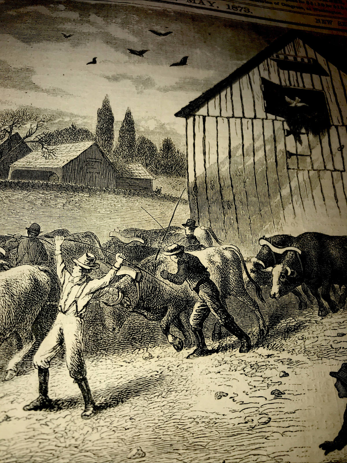 ORIGINAL 1873 Cattle Farm Barn Engraving Advertising