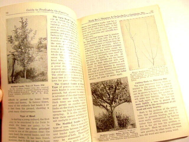 vintage 1938 Stark Bros. Guide to Profitable Orcharding; (Louisiana, MO)