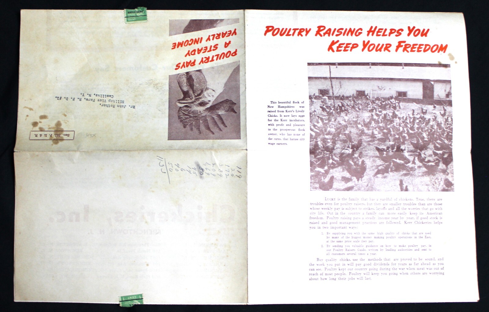KERR CHICKERIES CHICKEN FARMING POULTRY MANUAL ADVERTISING MAILER 1940s VINTAGE
