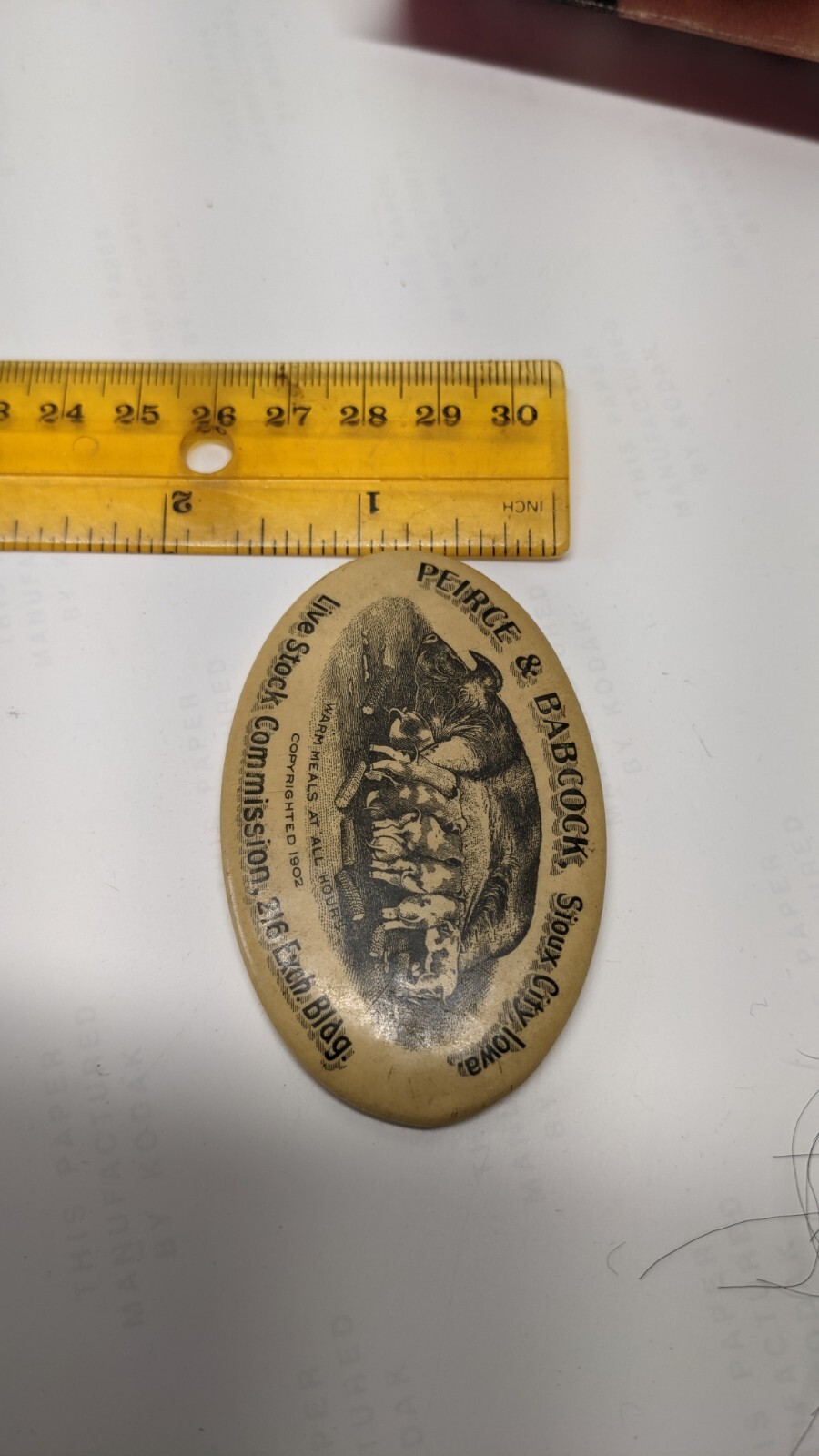 1902 Live Stock Celluloid Advertising Pocket Mirror Sioux City Omaha Chicago