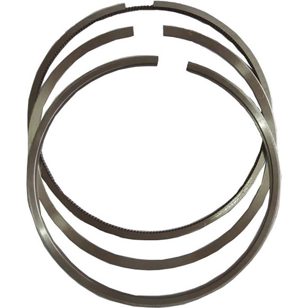Ring Group 2W1709 Fits Caterpillar E240L E300 E300B EL240 EL300 EL300B FB518