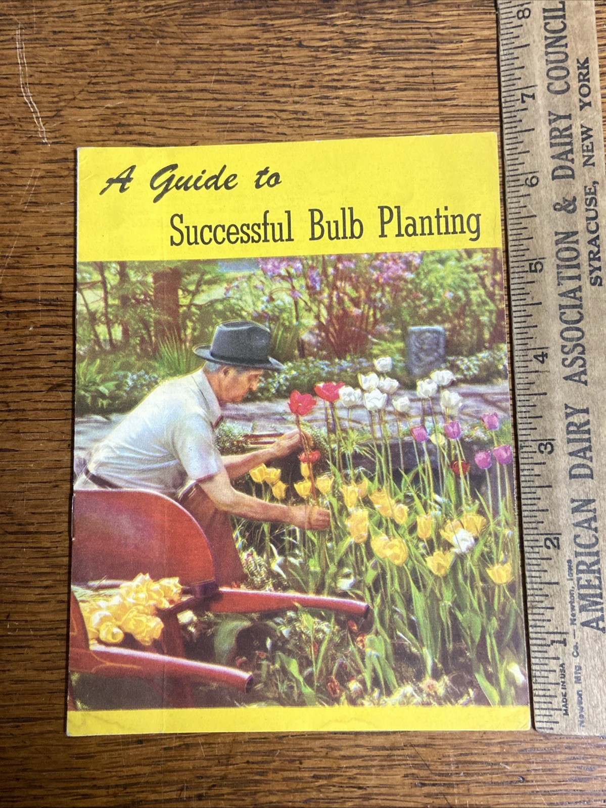 Bulb Planting Guide Associated Bulb Growers of Holland Hart & Vick Rochester NY