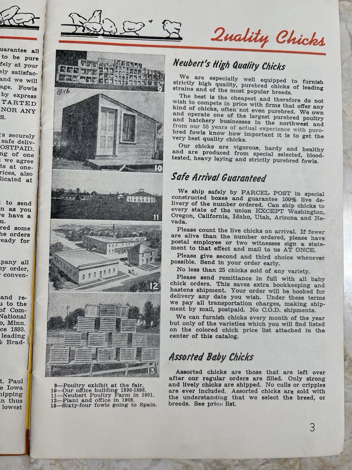 Vintage 1945 Neubert&rsquo;s Neubert Poultry + Supply Catalog Mankato MN