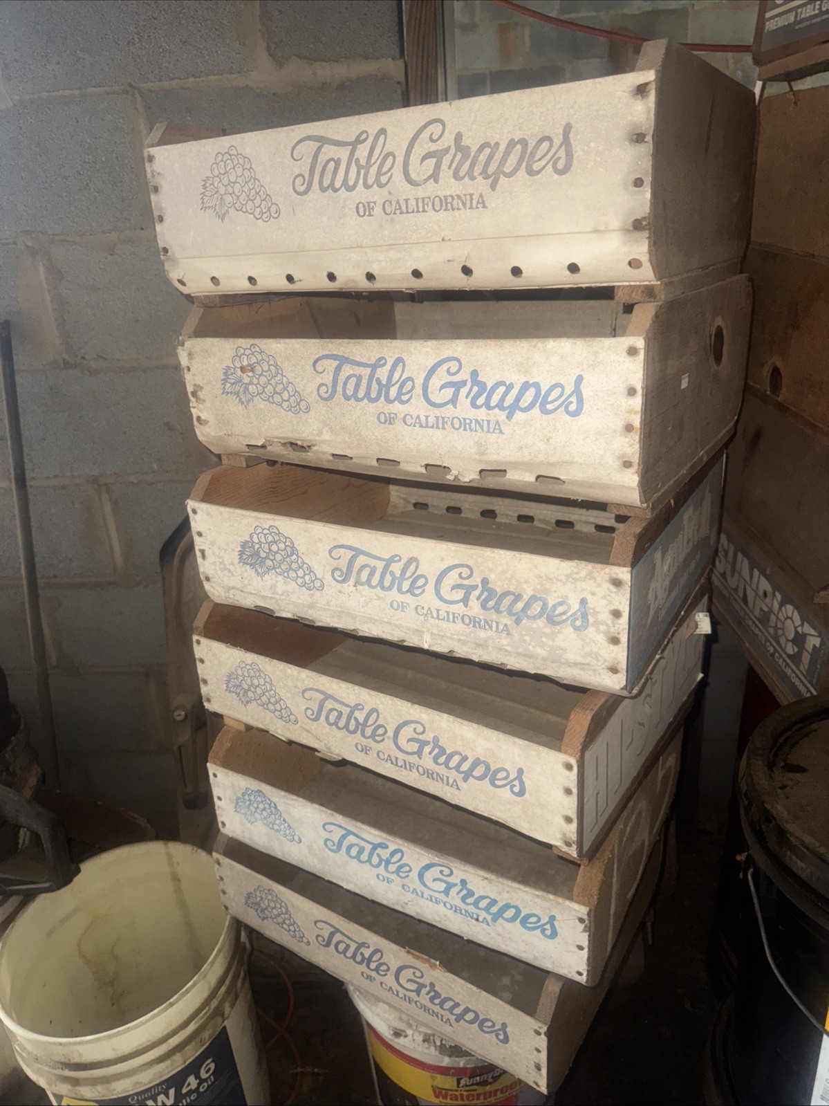 VINTAGE SUN GOLD CALIFORNIA GRAPES FLAT CRATE WOOD PAPER COCHELLA ROBERT CARIAN