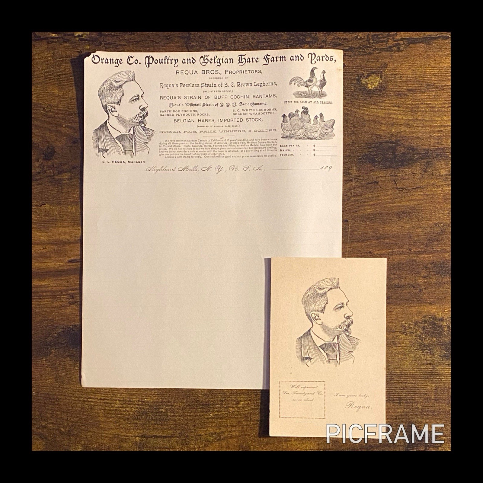1890s Requa Bros. Exotic Animal Dealer Letterhead + UX14 Advertising Postal Card