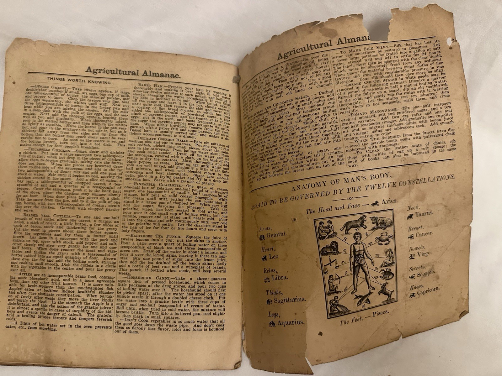 Lot 5 Antique Almanacs 1900-1907 Lancaster PA & Frederick MD + 1979 Newport PA