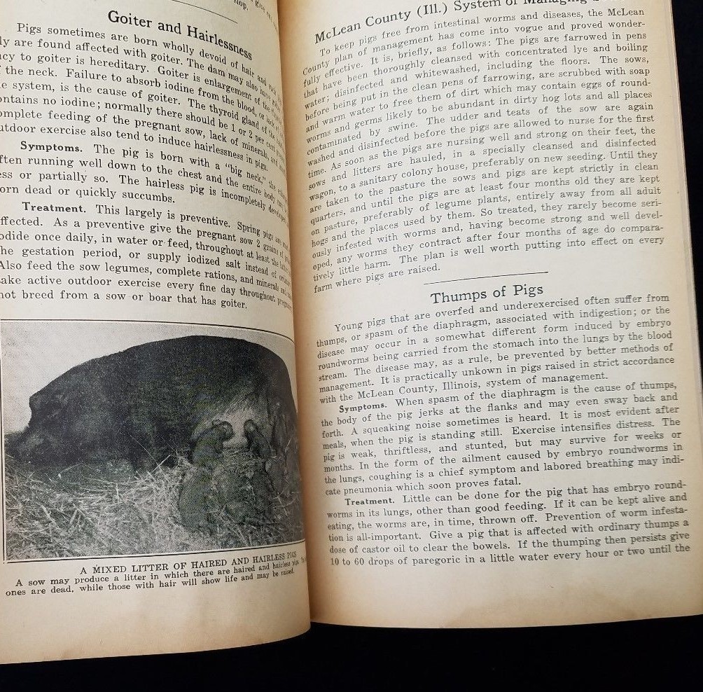 1932 How To Treat Common Ailments Farm Animals Hoard&rsquo;s Dairyman Fort Atkinson WI