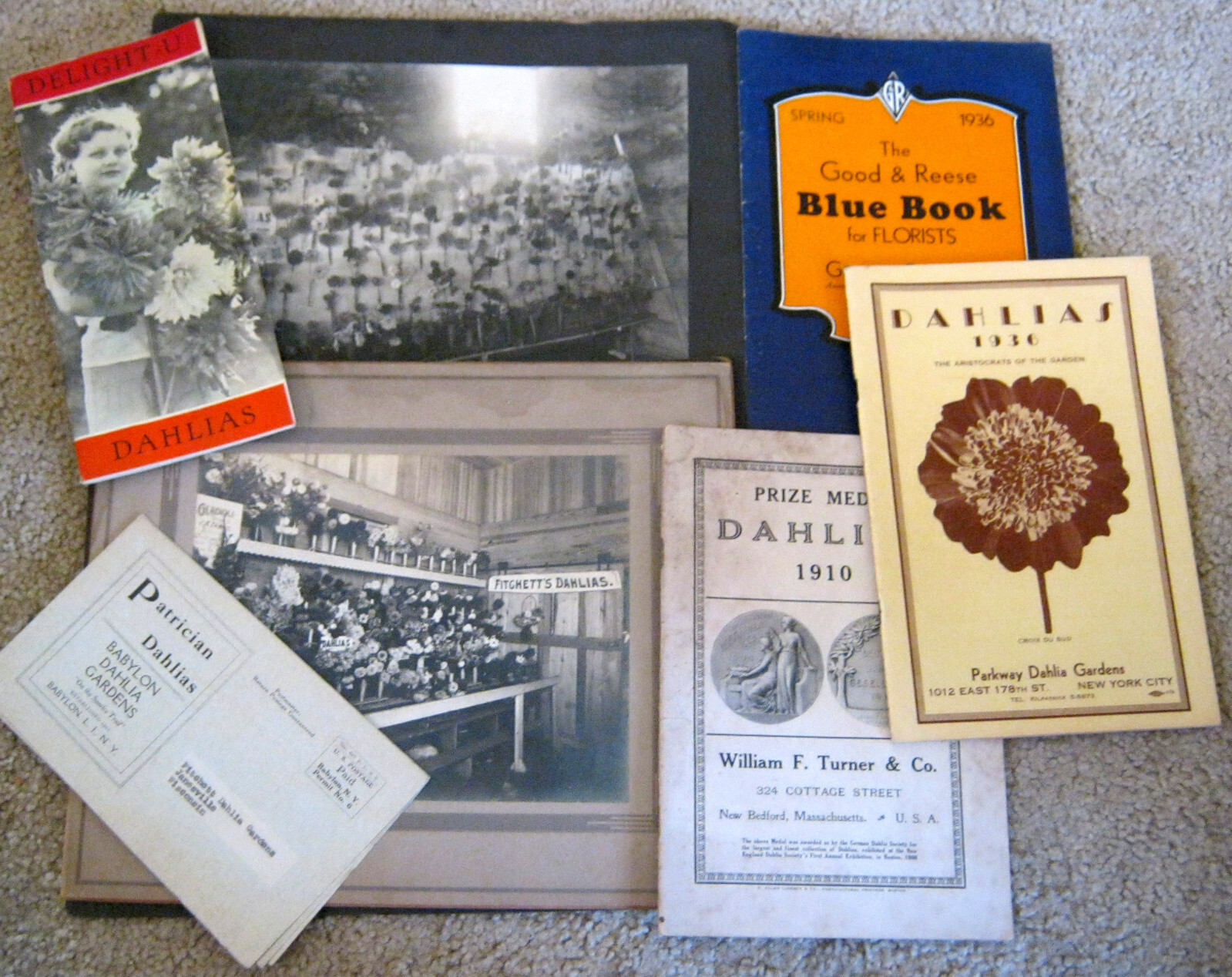 HUGE 1900-50&rsquo;s Collection DAHLIAS & Flower Clubs Seeds BOOKLETS Brochure Letters