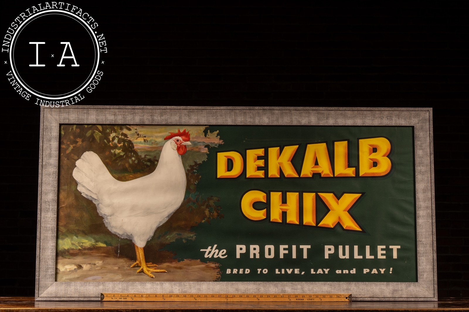 Vintage DeKalb Chix Framed Agriculture Poster
