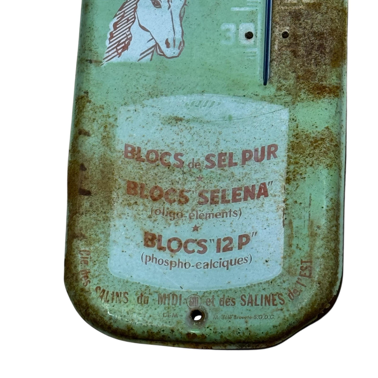 Vintage Salins Du Midi Blocs A Lecher French Thermometer Sign 7.25×27.25 Green