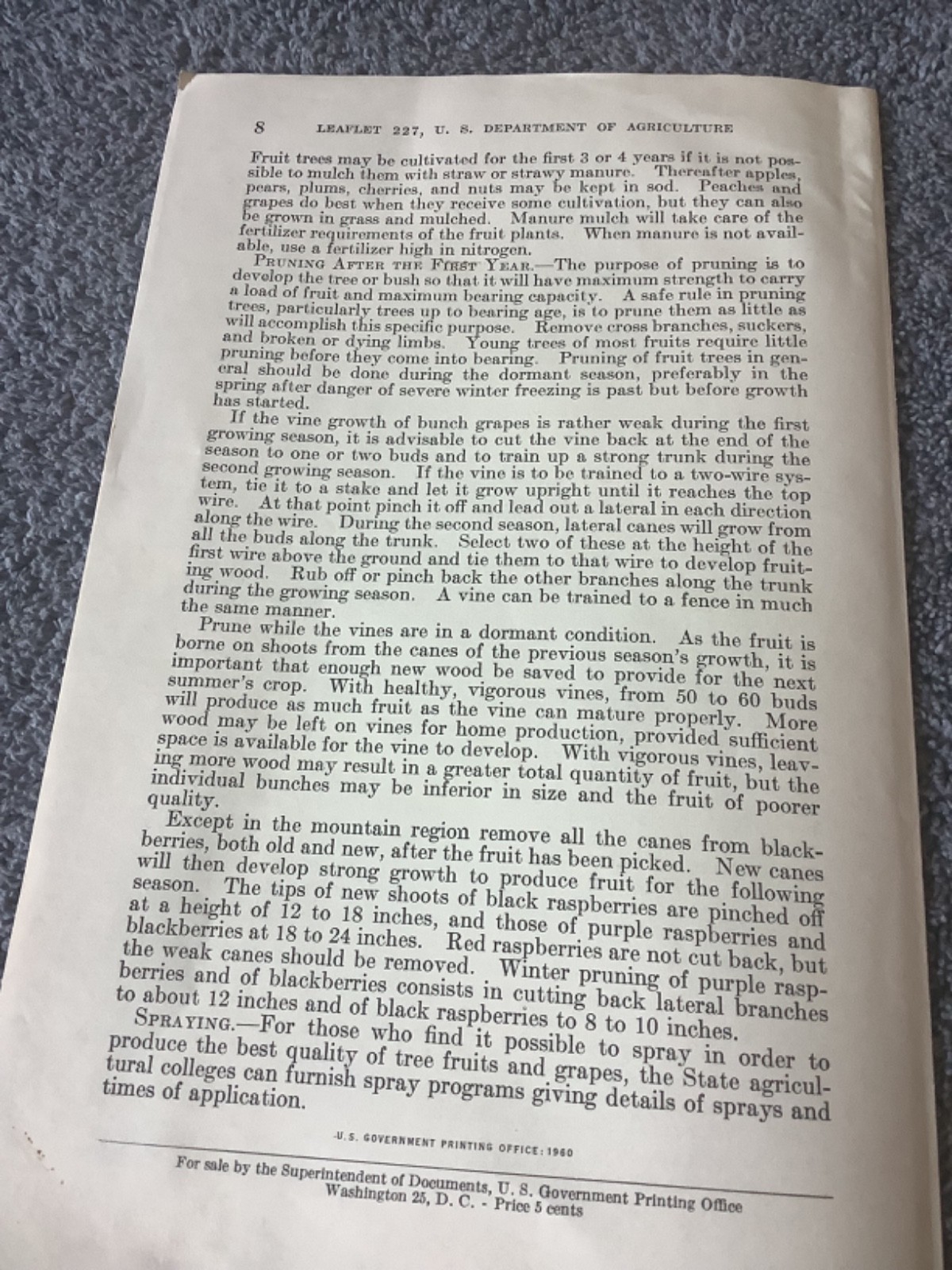 1952 USDA Leaflet #227 The Home Fruit Garden Northeastern North Central States
