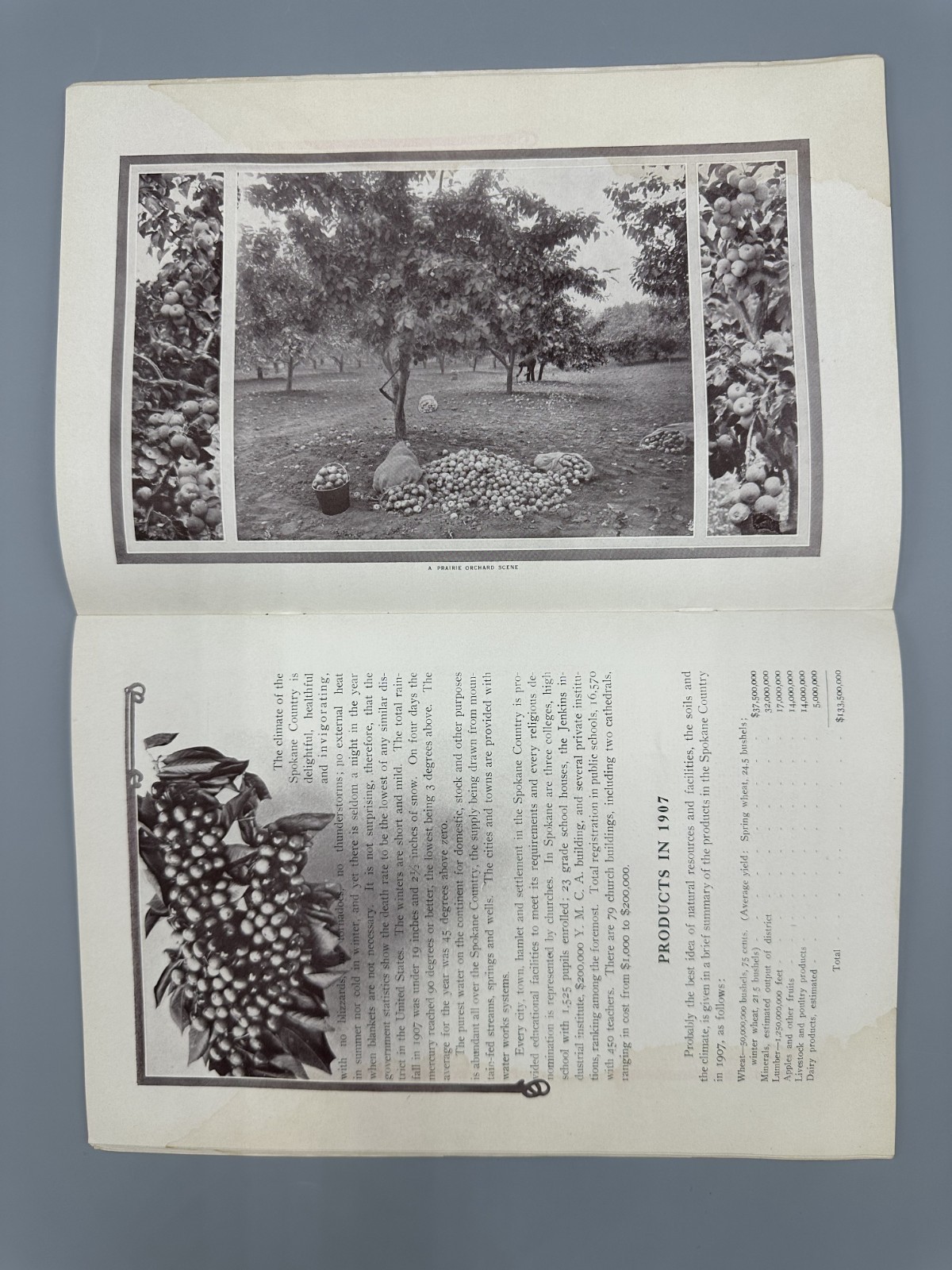 1908 SPOKANE COUNTRY Farming APPLE ORCHARD Fruit HOLT STEAM ENGINE Chamber MAP