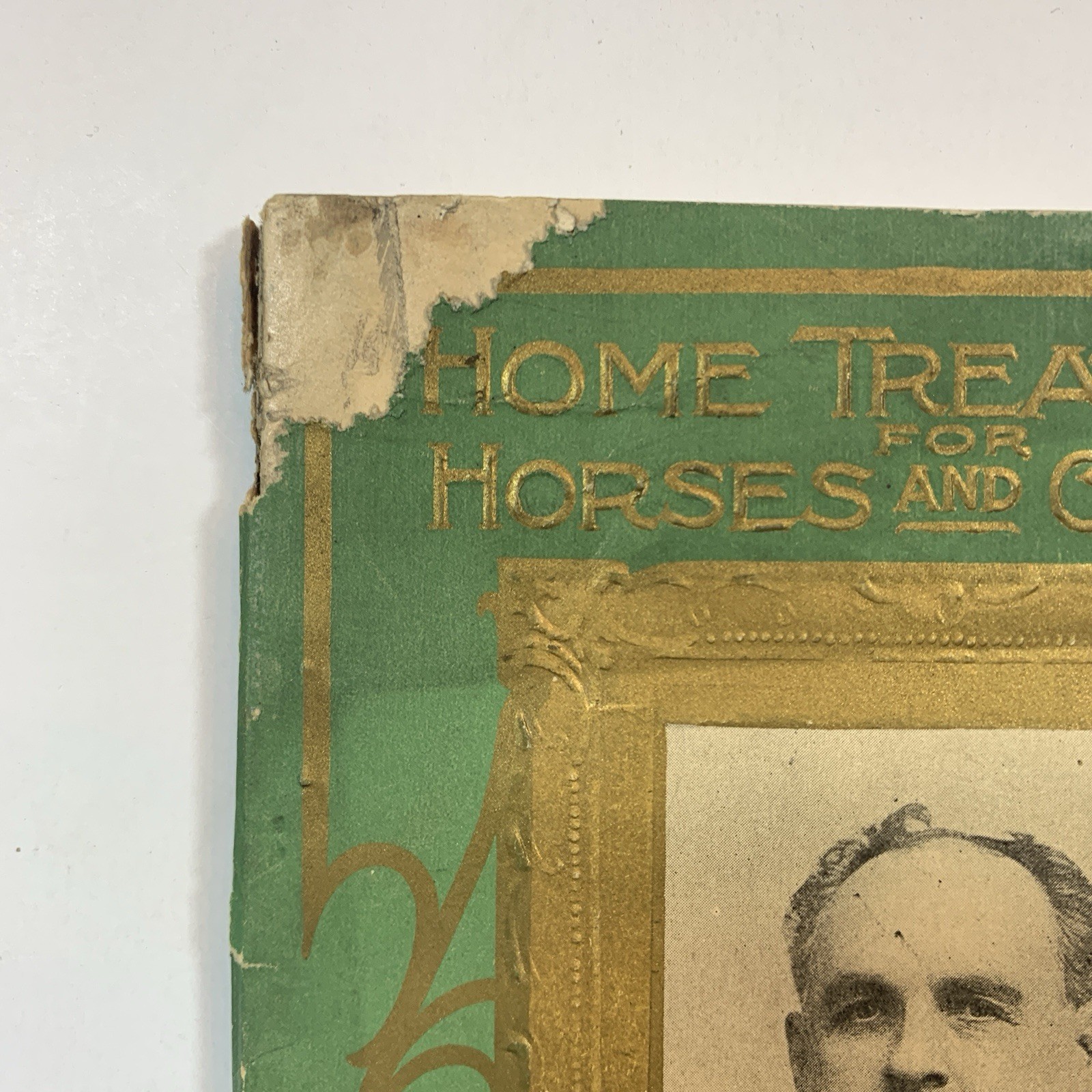 HOME TREATMENT FOR HORSES AND CATTLE by A.C. Daniels – Original 1907 Paperback