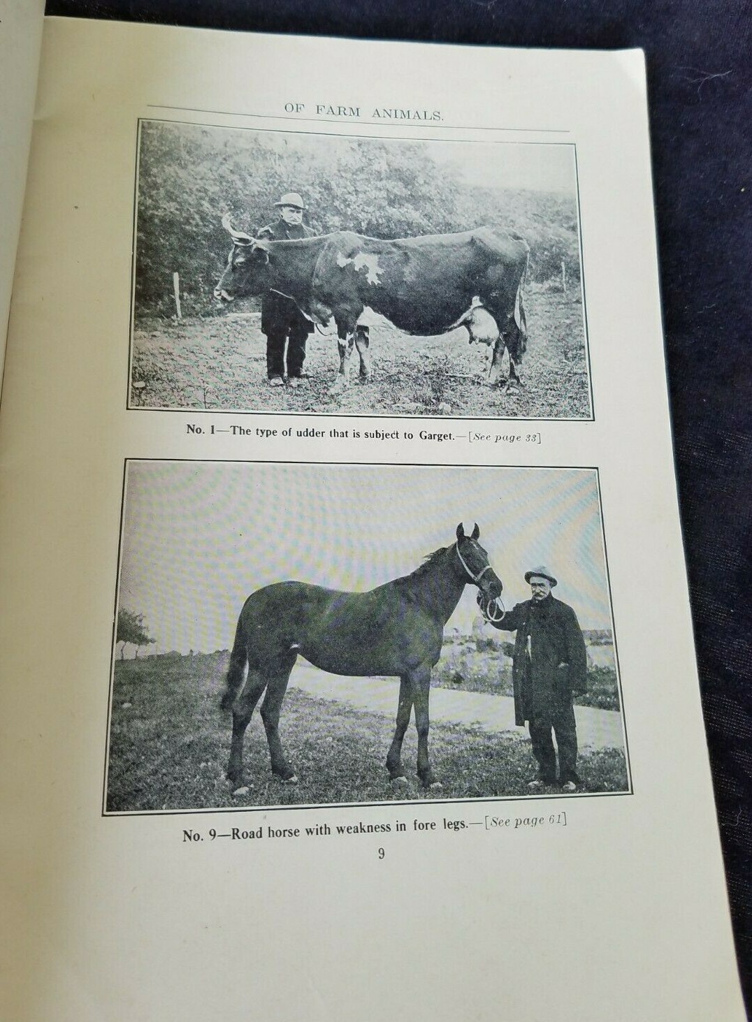 1911 Common Sense Treatment Farm Animals CD Smead National Stockman & Farmer