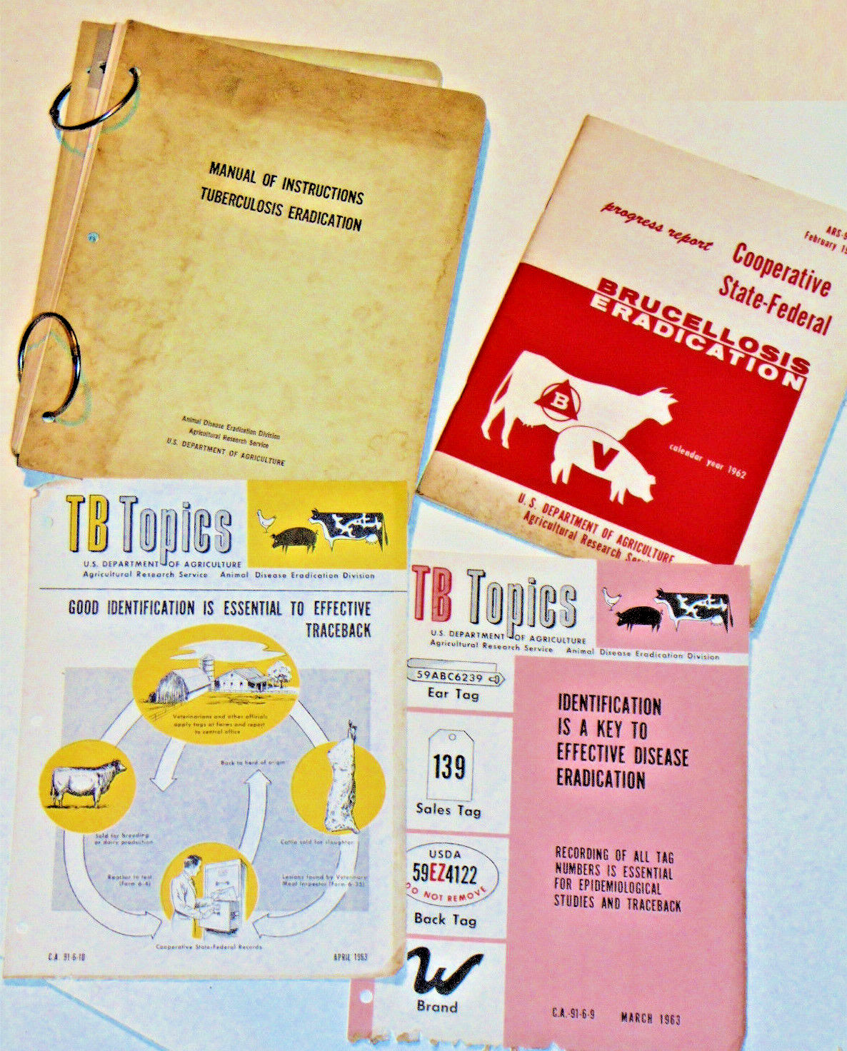 VINTAGE 1950s-60s USDA ANIMAL TUBERCULOSIS ERADICATION TB MANUAL! SMALL POSTERS!