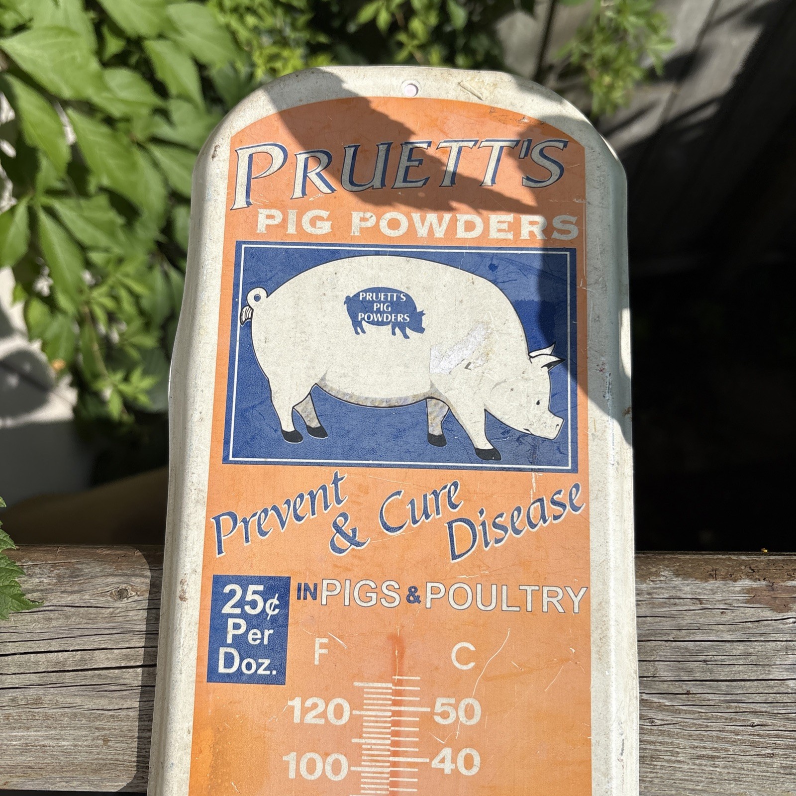 Vintage Pruett’s Pig Powders Thermometer Metal Tin Sign As Is Needs Thermometer