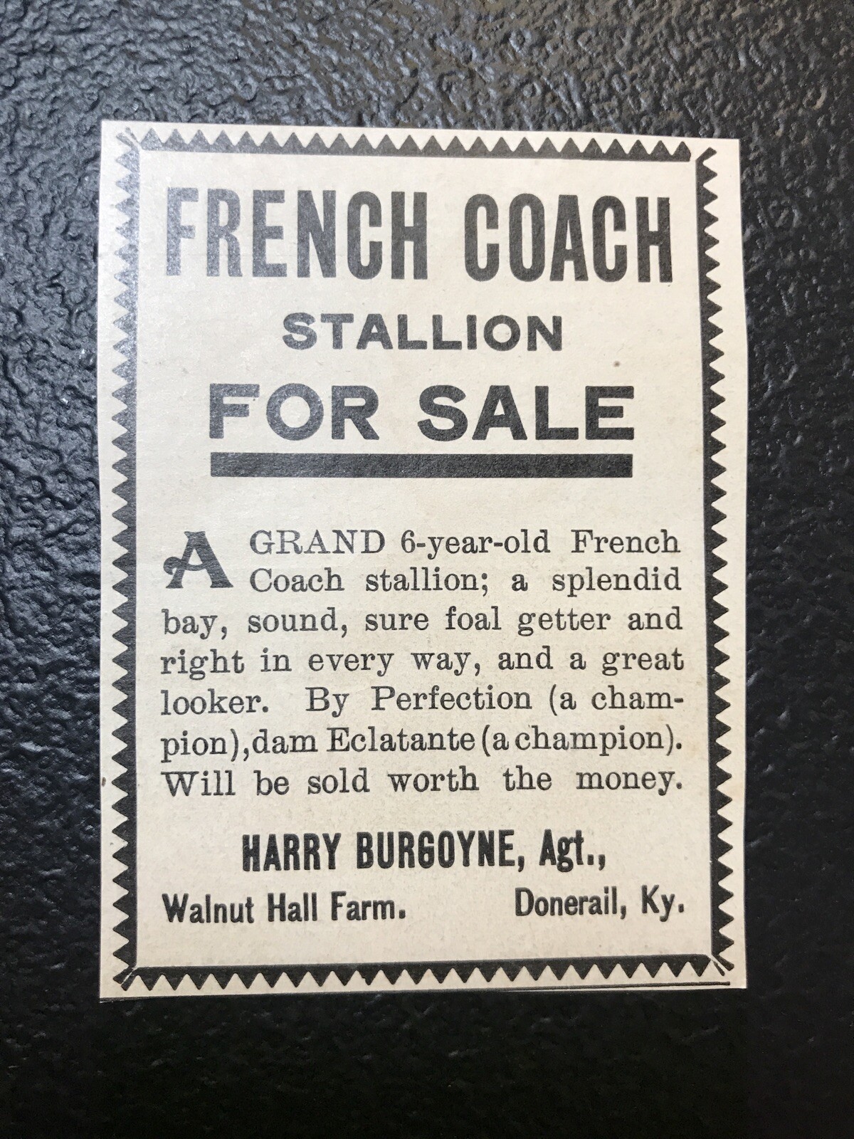 1902 Walnut Hall Farm – Horse Advertising – Donerail- Kentucky – Lexington
