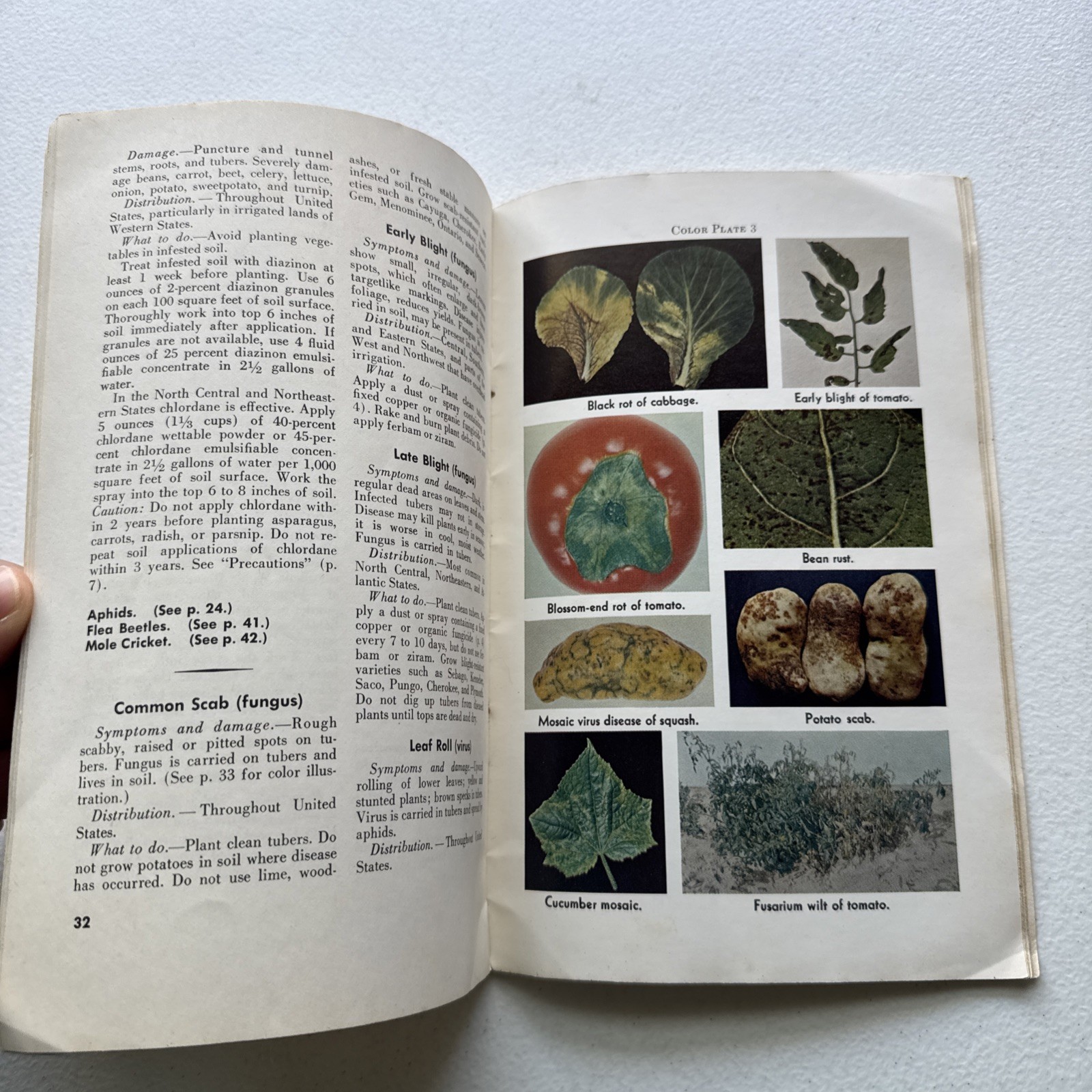 Insects and Diseases of Vegetables in the Home Garden USDA Bulletin No. 46