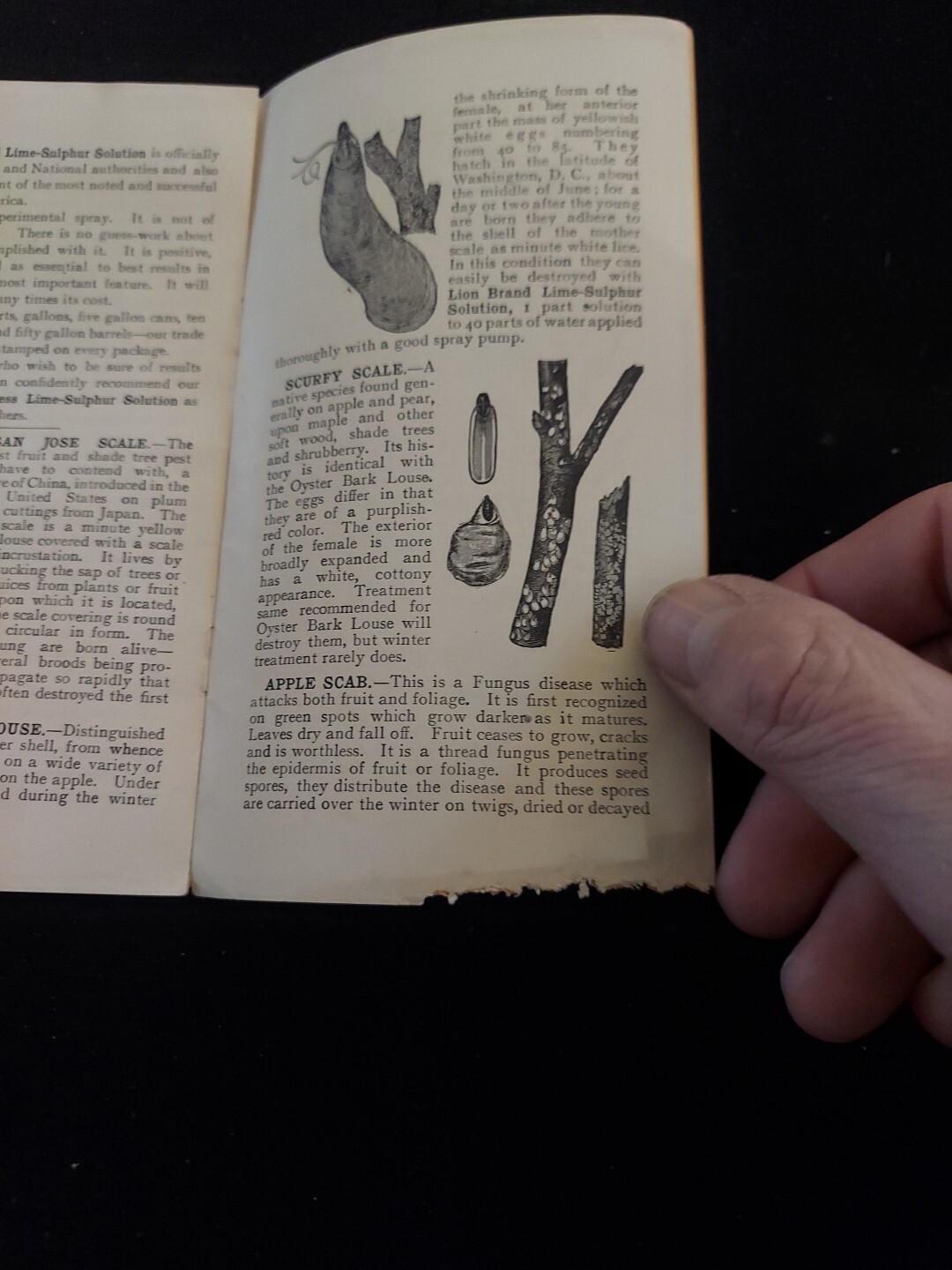 1910 Lion Brand Spraying Materials Pamplet